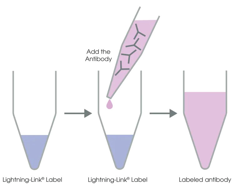 Lightning-Link Lightning-Link